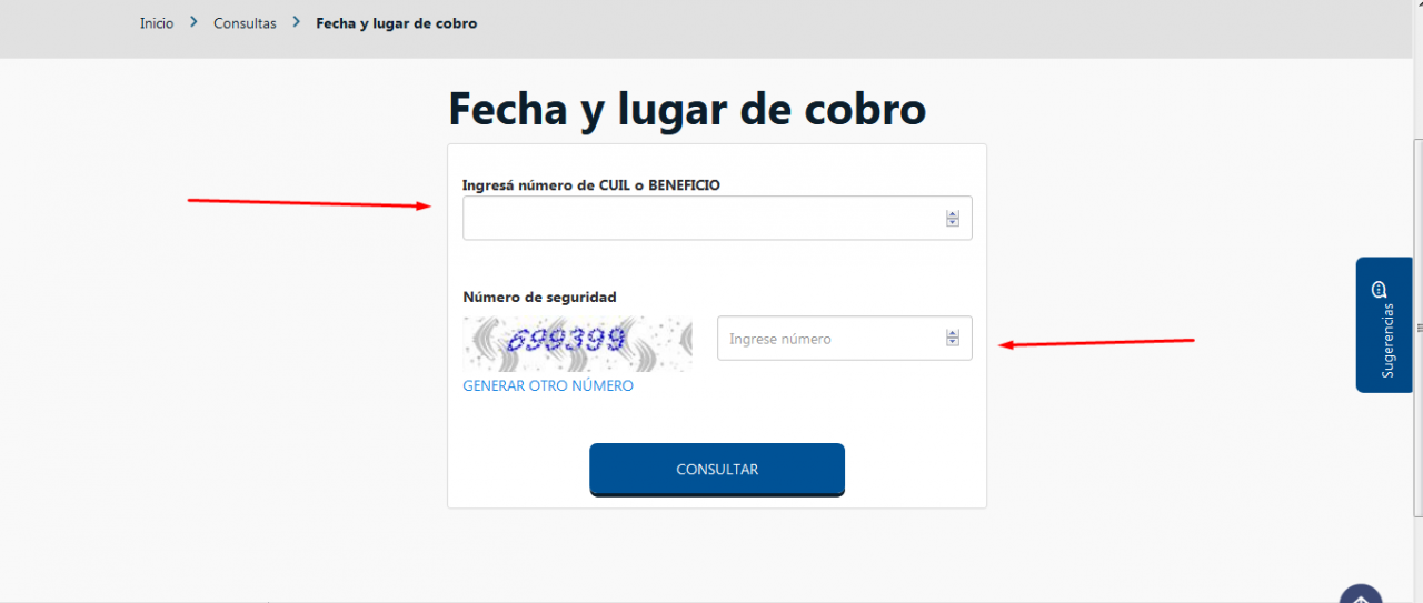 Anses Cu Ndo Cobro Gu A Completa De Consultas Web